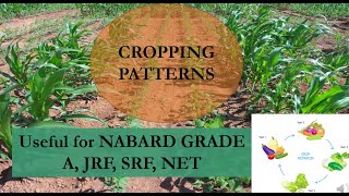Different kinds of cropping patterns @AGRICulturemakestrong