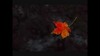 Wishbone Ash Leaf &amp; Stream (lyrics)