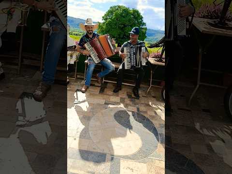 Uma Sanfonada em Cordisburgo MG #sanfona #shortviral #viral #sucesso #viralshorts #shorts #musica
