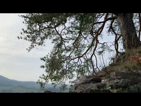 ☀️Faszinierende Schlossruine Dorneck aus dem Mittelalter, mystisch wunderschön🌿🌸🌼🏰🌱