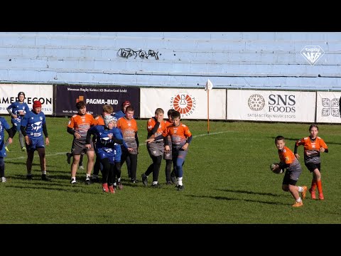 Ogniwo Sopot - Miedziowi Lubin 19:14