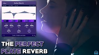 Video thumbnail for denise PERFECT PLATE XL Reverb - REVIEWED by BenoniStudio