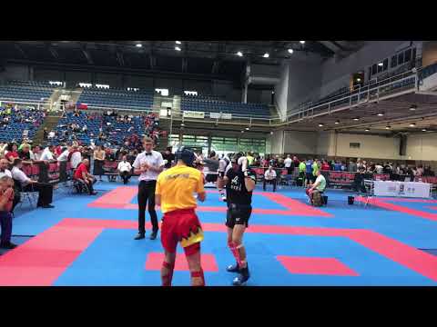 WAKO Hungarian Kickboxing World Cup 2018 -  Artem Loboda Kick-light 69 kg.