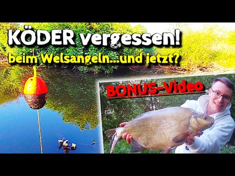 Welsangeln vom Ufer: KÖDER vergessen, und jetzt? | Ist DAS der richtige Köderfisch?