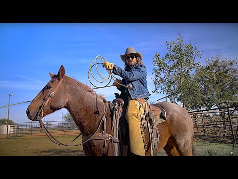 You Still Ain't No Cowboy -  Rodeo Time 318