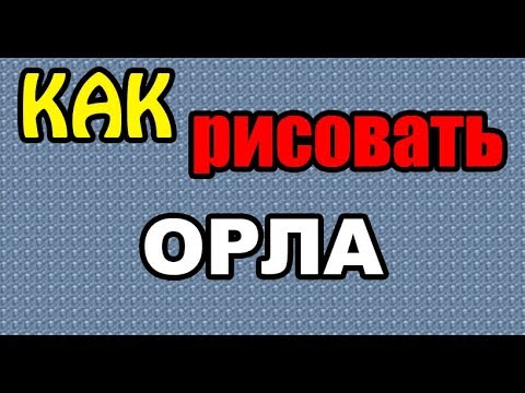Рисование: Как нарисовать ОРЛА поэтапно (ДЛЯ НАЧИНАЮЩИХ). How to DRAW a EAGLE?