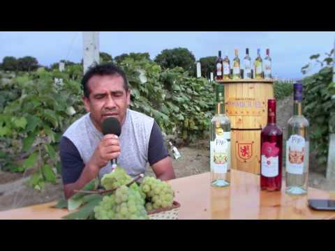 DESDE NUEVO IMPERIAL DON MIGUEL CAMPOS