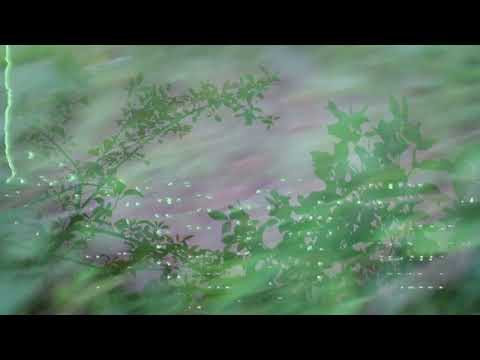 COOL HEAT - Little Romance (Music Video)