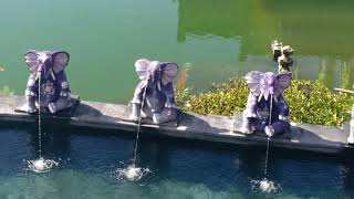 Download lagu DI BUKIT KINTAMANI - NYANYIAN RINDU - EBIET G.ADE mp3 Download lagu DI BUKIT KINTAMANI - NYANYIAN RINDU - EBIET G.ADE mp3