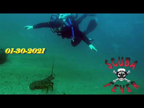 Dive Conditions in Santa Monica Bay 01-30-2021