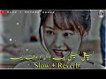 Laila Laila Yama Pashto Song Slowed Reverb Singaar Che Zaan Krama Kingofficial64 Viral