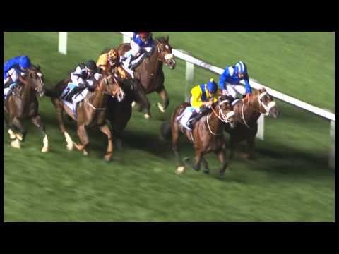 02.03.2013 Meydan (Dubai-UAE) 5.Race Zabeel Mile 2013 - Group II 1.600 m