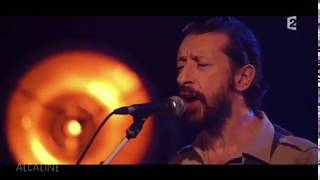 Alcaline les innocents