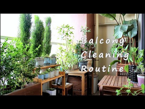 ロビンをバルコニーに引き寄せるにはどうすればよいですか？好きな食べ物、ヒントと方法  庭園