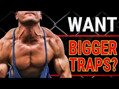 Muscular Strenght Title