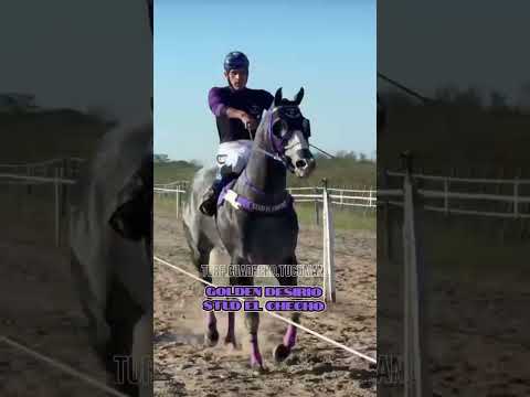 PODEROSO vsGOLDEN DESIRIO-clasico"Día del Trabajador" 320 mts(PUESTA)03-05-26Club Hipico Monteagudo.
