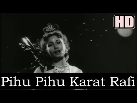 Pihu Pihu Karat Papiha