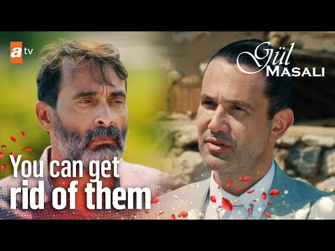 A hard decision for Tahir - Gul Masali | Episode 36