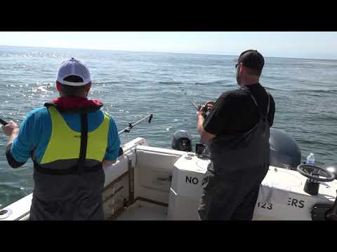 No Bananas Part 2 — How To Catch Lingcod (Oak Bay)