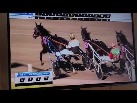 Dansk Trav Derby 2020 Extreme