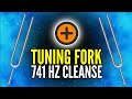 741 Hz Tuning Fork to Remove Toxins and Negativity by Clearing Throat Chakra