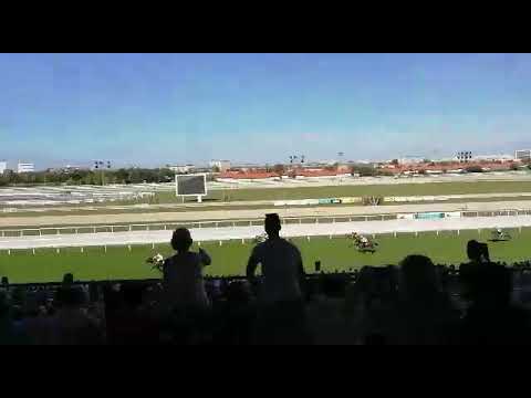 Kincsempark Budapest