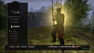 eso stamplar pvp build summerset dlc Самые лучшие видео