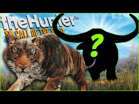 We Found A Pseudo Melanistic Tiger And Had NO MONEY To Tax It...