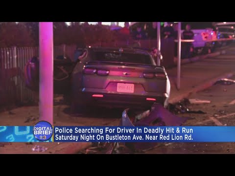 Digital Brief: April 22, 2019 (PM)