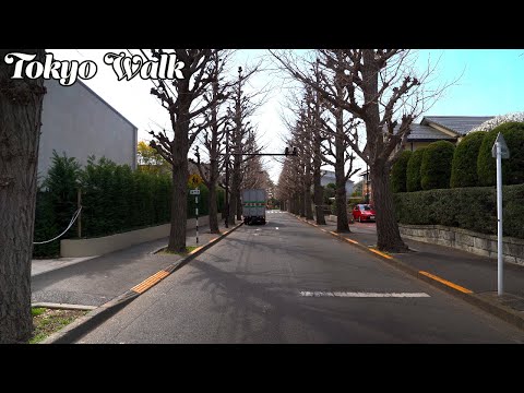 [Tokyo Walk] Denenchofu, área residencial de luxo, Bel Air em Tóquio (4K)