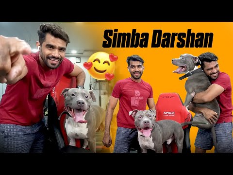 Shreeman Playing with Simba | Simba Darshan