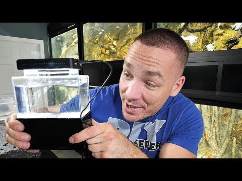 Part of a video titled THE SMALLEST AQUARIUM IN THE WORLD!! (REAL) | The King of DIY