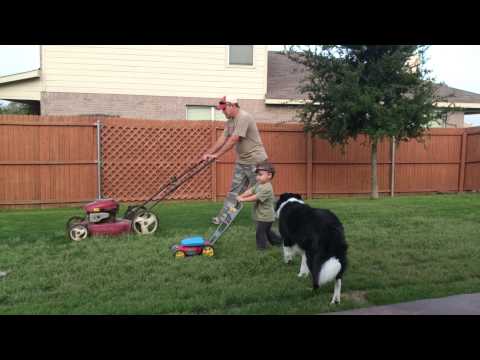 Jax helping Daddy cut the grass