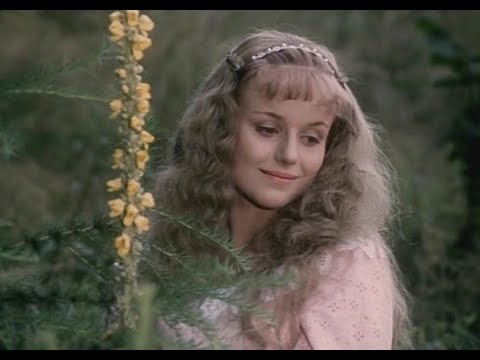 Как разбудить принцессу (1978) - по мотивам сказки "Спящая Красавица"