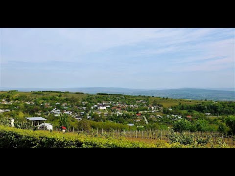 Cozia ( Iași ) -  Satul natal al mamei