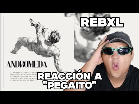 RT REACCIONA Y RECOMIENDA - PEGAITO - REBXL