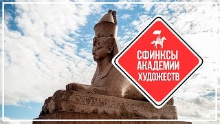 KudaGo Петербург: сфинксы перед академией Художеств