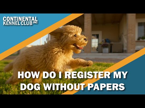 How Can I Register a Dog Without Papers?