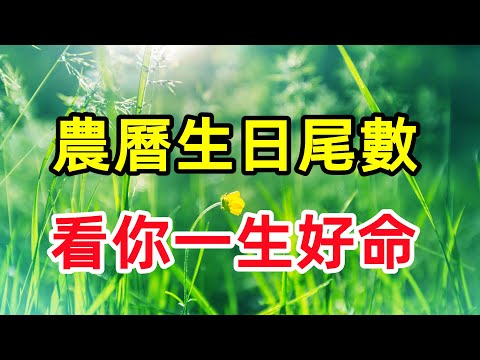 生日尾數2