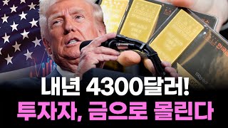 사상 첫 3600달러! 금값 폭등…내년엔 4300달러 간다