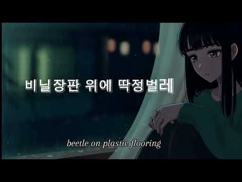인순이[In Soon-Ee] - 비닐장판의 딱정벌레[Beetle on vinyl]1987 (lyrics)-Remix