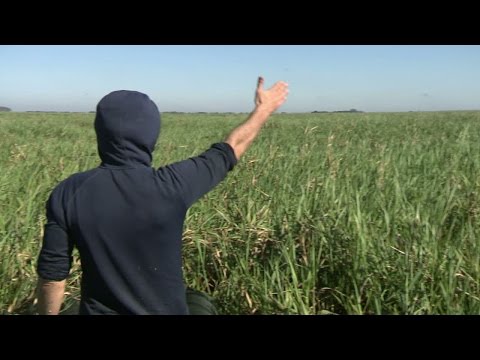 Röda laget: "Vi är mitt ute i helvetet" - Det största äventyret (TV4)