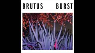 Brutus   Drive