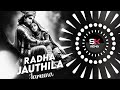 Radha Jauthila Jamuna Edm X Circuit Dj Sibu Nayagarh X Dj Papu Official Sk Sunil Remix