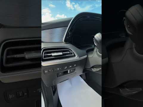 фото hyundai palisade i 0
