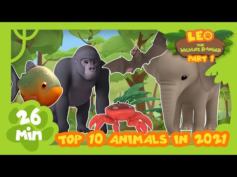 Top 20 Most Popular Animals from Season Two in 2021 Part 1! | Leo the Wildlife Ranger