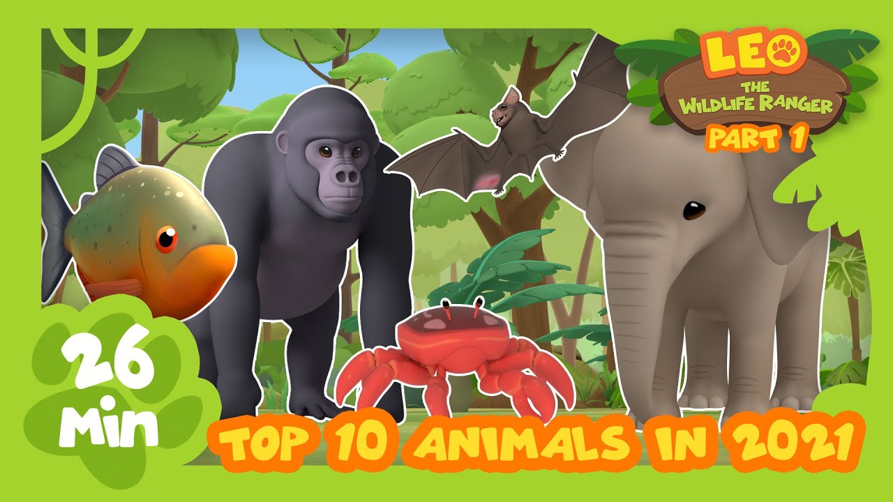 Top 20 Most Popular Animals from Season Two in 2021 Part 1! | Leo the Wildlife Ranger
