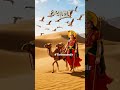D11 Dashama Dashama Na Geet Dashama Song Dashama Na Garba Dashamaa Dasama Dashama New Song 2025