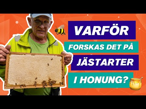 Mer än bara sötma: Hur honung bidrar till banbrytande forskning