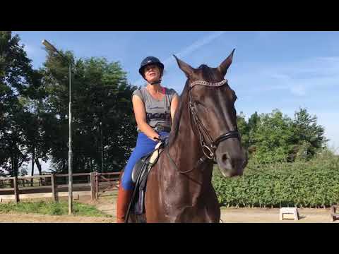 Paardrijden; cap dragen, hoe belangrijk is dat?